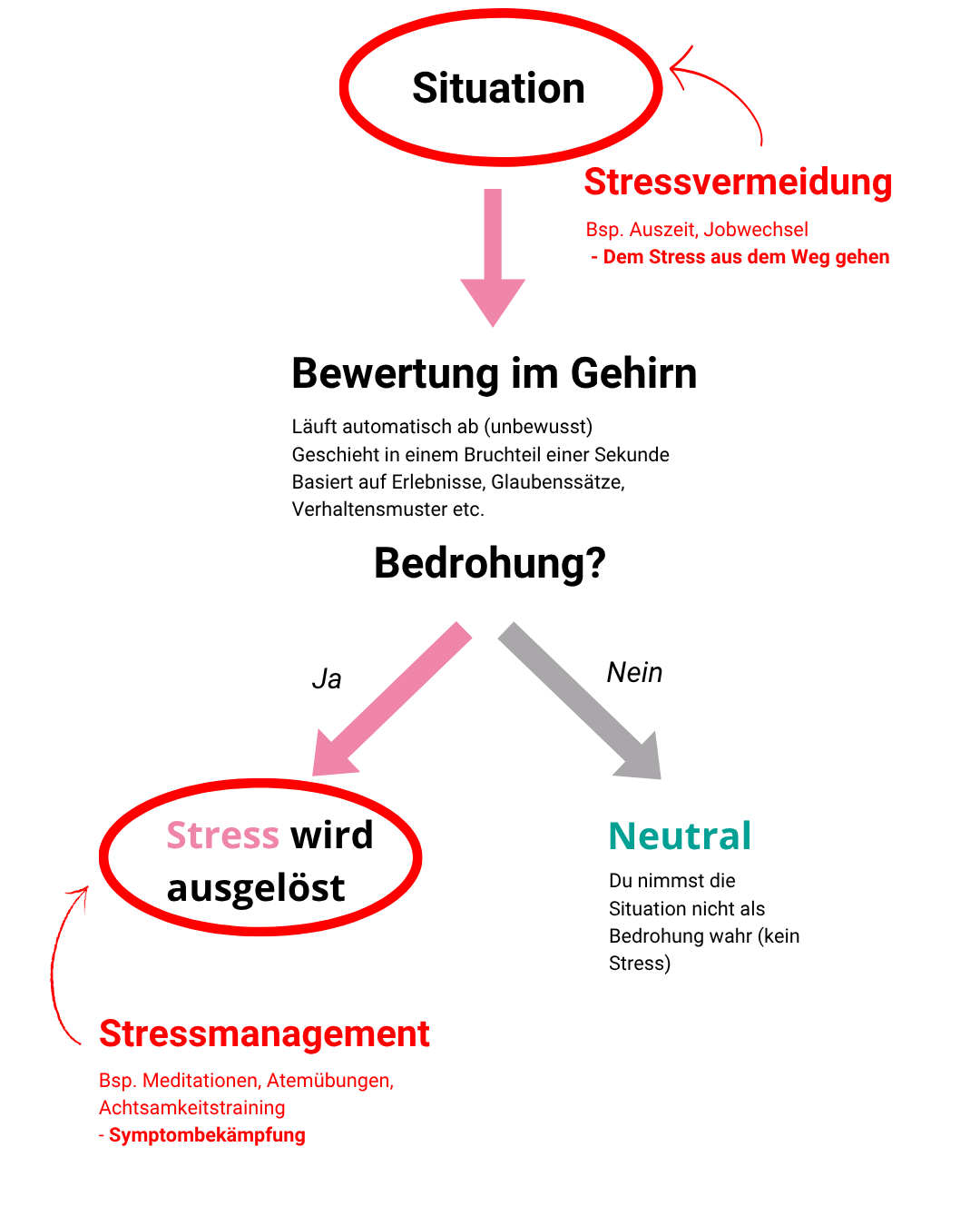 Mind Switch Stressbewertung